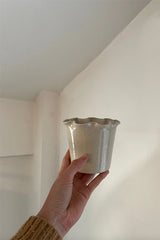 Frilly Plant Pot & Saucer - Stoneware