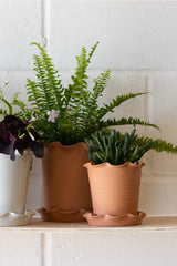 Frilly Plant Pot & Saucer - Terracotta