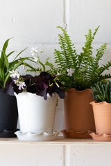 Frilly Plant Pot & Saucer - Stoneware