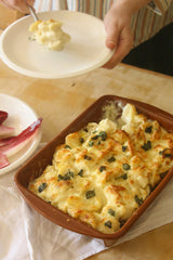 Midweek Recipes cookbook by Jess Elliott Dennison