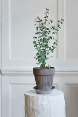 Simona Pot & Saucer Grey