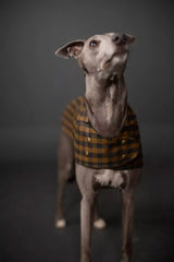 The Barka Dog Coat Pattern
