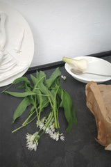 Vegetable Recipes by Jess Elliott Dennison