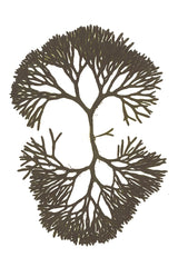 Felty Fingers Greeting Card