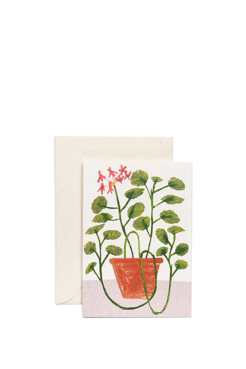 Scented Geranium Card