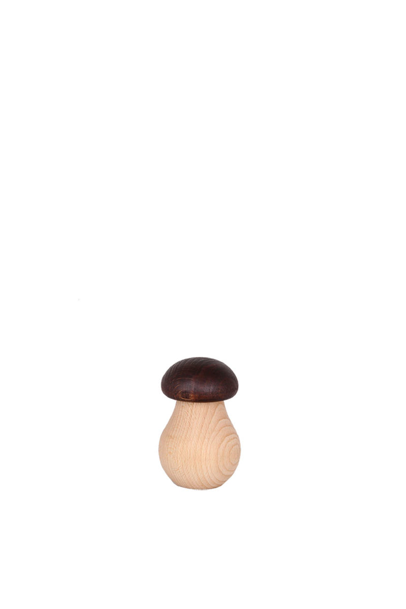 Nutcracker Mushroom