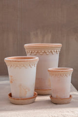Copenhagen Rose Pot & Saucer Tall