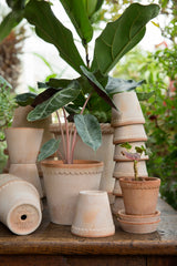 Helena Pot & Saucer