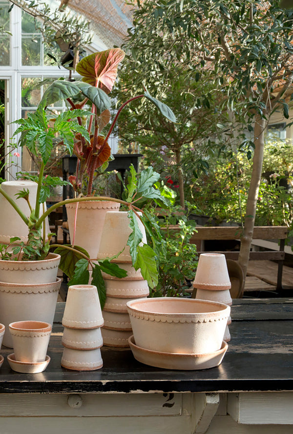 Helena Pot & Saucer