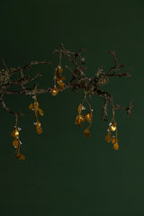 Golden Hanging Mistletoe
