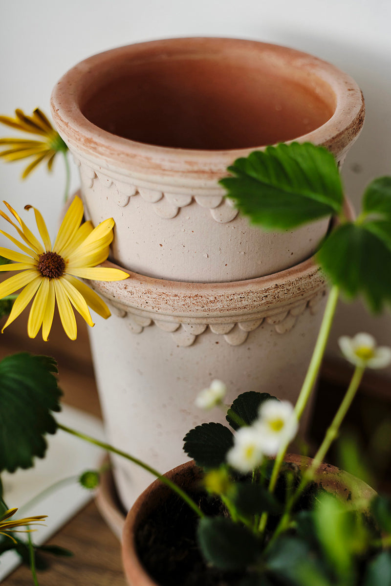 Copenhagen Rose Pot & Saucer Tall