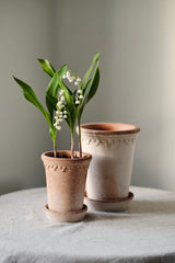 Copenhagen Rose Pot & Saucer Tall