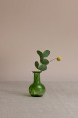 Piccola Olive